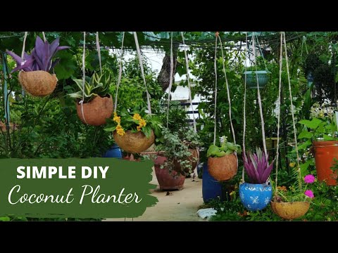 కొబ్బరి చిప్పలో అందమైన మొక్కలు 🌻🌼HANGING PLANTER out of COCONUT SHELL-Lockdown DIY | Terrace Garden
