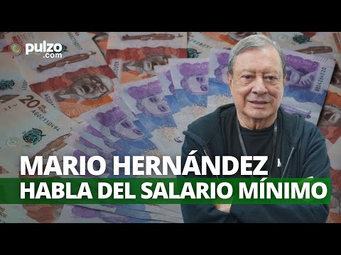 Salario mínimo 2024: Mario Hernández dio su cifra | Pulzo