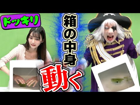 【検証】箱の中身が急に動いたら人はどれほどビビるのか？