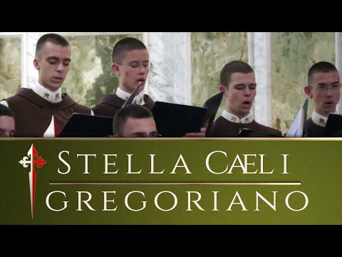 STELLA CAELI - (Música contra la Pandemia) Autor: Anónimo - Gregoriano | Música con los Heraldos