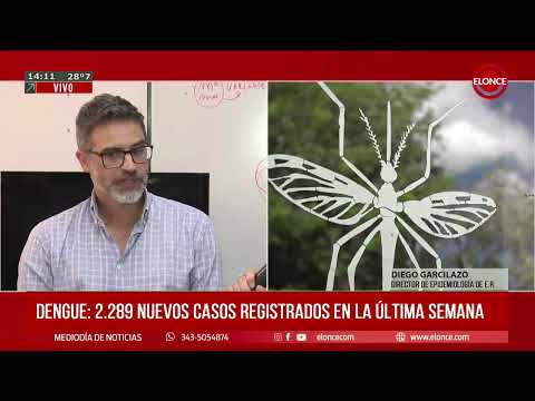 Reportaron 2.289 nuevos casos de dengue en Entre Ríos