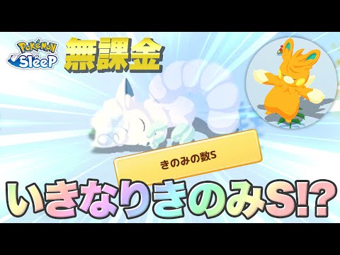 【ポケモンスリープ無課金】えっ、いきなりきのみSアローラロコン!?!?【12/23〜12/25】