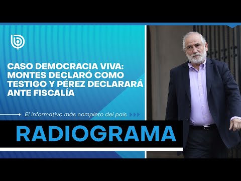 Caso Democracia Viva: Montes declaró como testigo y Pérez declarará ante fiscalía