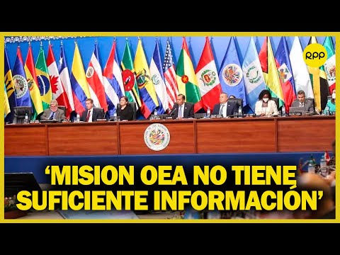 Misión de la OEA en Perú: 'No tiene información suficiente, tienen que venir aquí a recabarla'