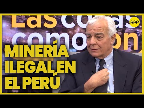 “La minería ilegal ha sido la fuente principal del financiamiento de la campaña de Perú libre”