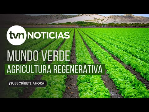 Mundo Verde: Agricultura Regenerativa