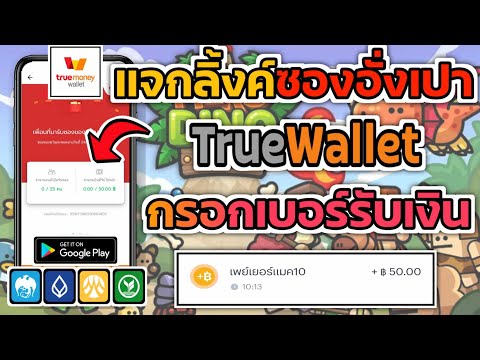 สอนหาเงินออนไลน์Wallet1-19,5