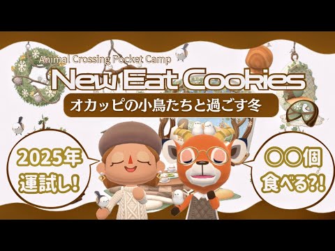 【ポケ森コンプリート】2025年運試し！オカッピの新クッキー15個食べるはずが我を忘れて爆食？！/コテージレイアウト3選