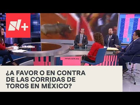 Corridas de toros en México I ¿A favor o en contra?; el debate en Despierta