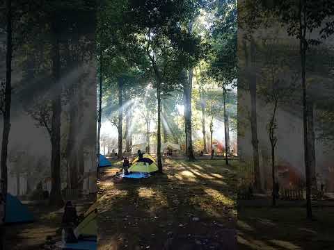 ditembus cahaya ..