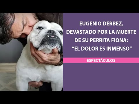 Eugenio Derbez, devastado por la muerte de su perrita Fiona: “El dolor es inmenso”