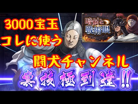 キングダム乱(とりあえず3000宝玉はコレで使う！やっとこせ！LG荀早裏技極！コレでそこそこ魏国編成で行けるわ！暗剣と戦術眼もやるよ！)闘犬チャンネル