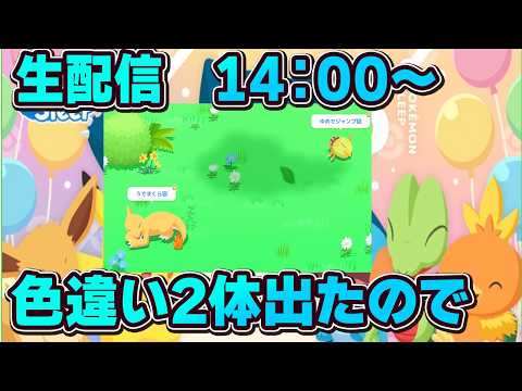 【ポケモンスリープ】待望の黒リザ、、？？【無課金、微課金】