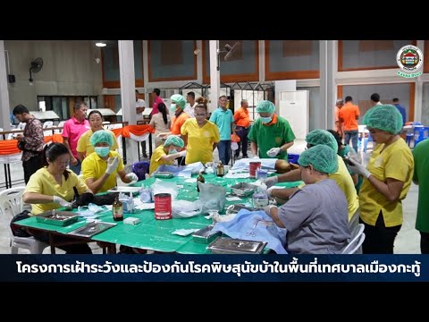 โครงการเฝ้าระวังและป้องกันโรคพ