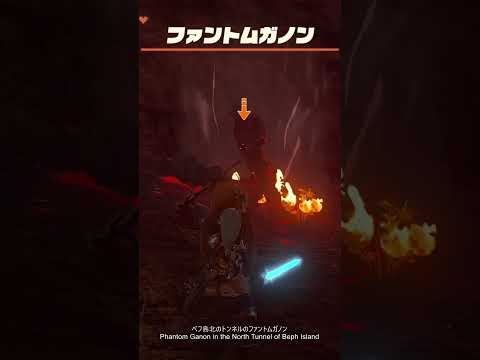 ベフ島北のトンネルのファントムガノン|ゼルダの伝説 ティアーズ オブ ザ キングダム Nintendo Switch 2 Edition