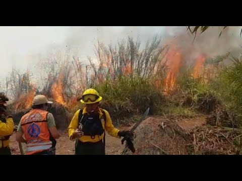 Incendio forestal en finca de El Jaibal, Sololá.