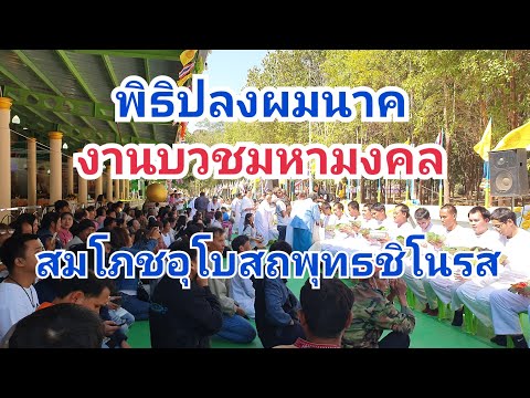 พิธีปลงผมนาคงานบวชสมโภชอุโบสถ