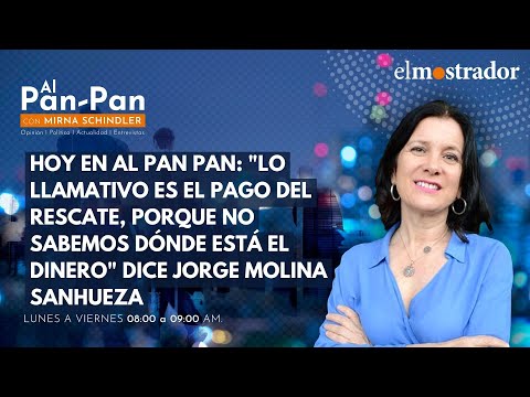 Crimen organizado con Jorge Molina Sanhueza y la posición de la DC con Alberto Undurraga