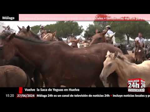 Noticia - Hoy se celebra la Saca de Yeguas en Huelva