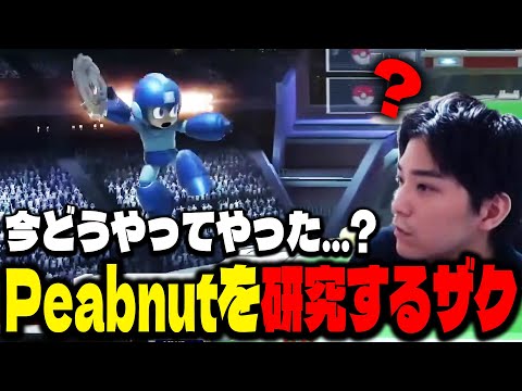 Peabnut対Sparg0からロックマンの技術を研究するザクレイ【スマブラSP】