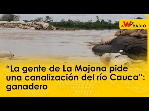 “La gente de La Mojana pide una canalización del río Cauca”: ganadero