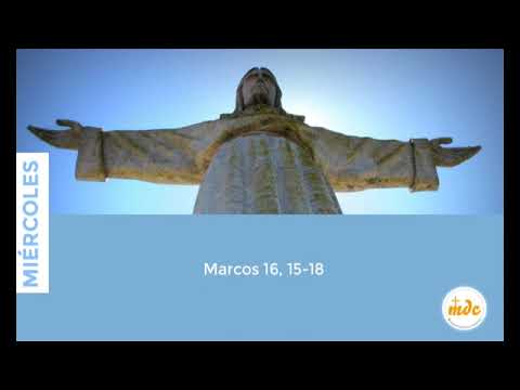 Mc. 16, 15-18 - Evangelio del día - Padre Luis Zazano