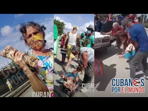 Los cubanos somos animales para la dictadura castrista: Así nos tratan y nos alimentan con huesos