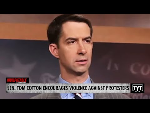 Senator Encourages Fox Viewers To Attack Protesters On-Sight #IND