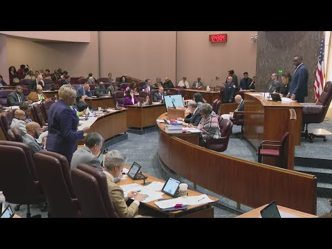 City Council OKs settlements, tables votes on Sanctuary City status, speed limit — WGN Evening News