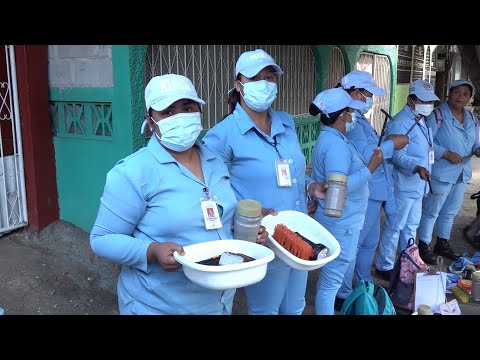 Brigadas del Minsa abatizan viviendas del distrito II de Managua