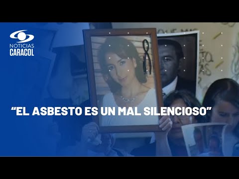 ¿Qué pasó con la lucha de Ana Cecilia Niño contra el asbesto, la fibra que la mató?