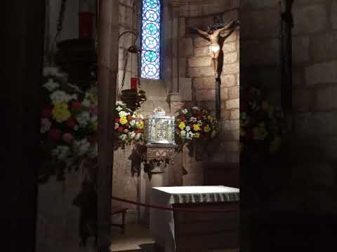 Adoración al Santísimo Sacramento del Altar con el Padre Fabian Esteban Oliva. 23/09/24