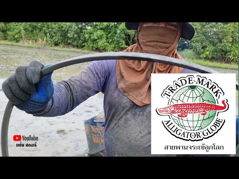 สายพานจระเข้ลูกโลก-ใช้กับรถไถน สายพานจระเข้ลูกโลก-ใช้กับรถไถน