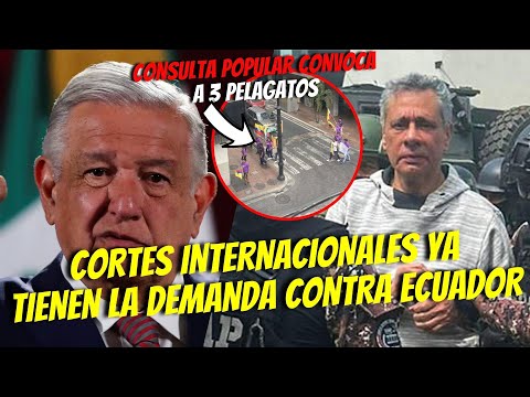 DEMANDA CONTRA ECUADOR SERA EVALUADA/ GLAS BUSCA HABEAS CORPUS / ENCUESTAS DE LA CONSULTA