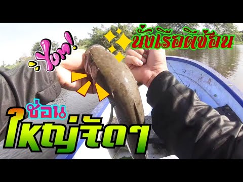 เทคนิคตีปลายางแบบใหน-ให้ปลาช่อ เทคนิคตีปลายางแบบใหน-ให้ปลาช่อ