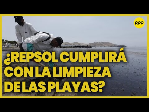 Derrame de petróleo en Perú: “Después de la limpieza viene la rehabilitación”