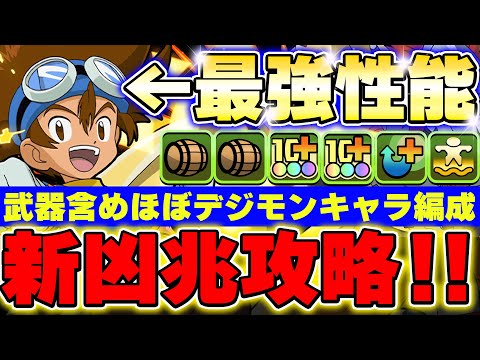 初心者や復帰勢向け編成！！太一が火属性で環境最強性能！！新凶兆チャレンジも攻略可能！！【パズドラ実況】