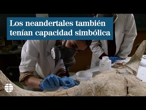 Los neandertales cazaban en Madrid toros de 1.000 kilos y guardaban sus cráneos como trofeo