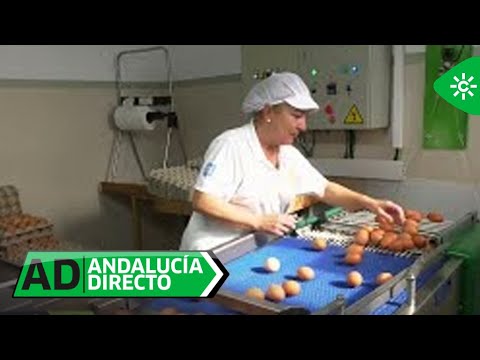 Andalucía Directo | ¿Qué tipo de huevos comemos?