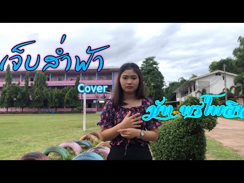 เจ็บส่ำฟ้า-มัทพรไพลิน[cove