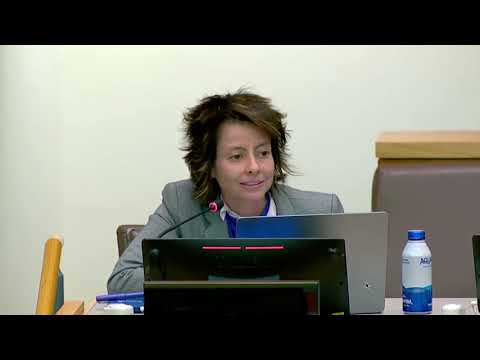 Intervención de Diana Parra Romero en panel de Políticas Exteriores Feministas e igualdad de género