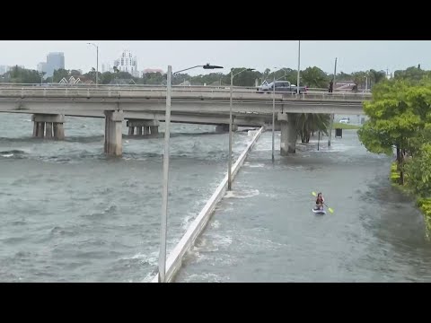 Idalia storm surge floods downtown Tampa shore