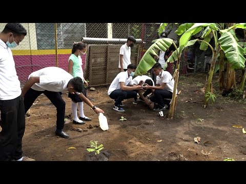 Estudiantes nicaragüenses celebran el Día de la Tierra reforestando
