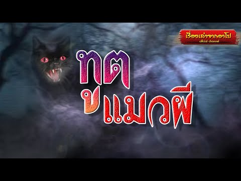 ทูตแมวผี-เรื่องเล่าจากอาโป ทูตแมวผี-เรื่องเล่าจากอาโป