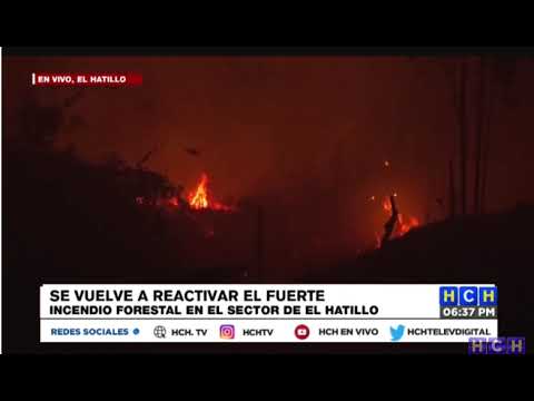 Cuerpo de Bomberos trabajan para apagar INFERNAL incendio que consume bosque de El Hatillo
