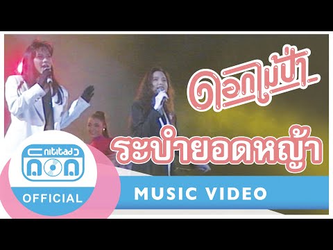 ระบำยอดหญ้า-ดอกไม้ป่า(ภาพคอ