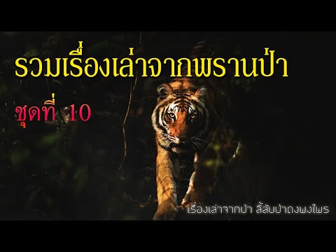 รวมเรื่องเล่าจากพรานป่าชุดที่