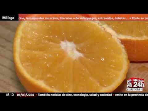 Noticia - Hacen pasar unas naranjas egipcias por “Naranja Nacional”