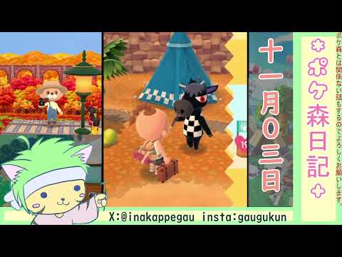 【ポケ森日記】7年11月03日🥱久しぶりのんびり枠 #ポケ森 #どうぶつの森