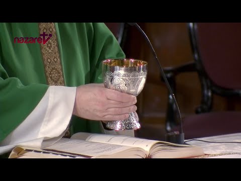 Santa Misa hoy: Enric Ribas preside liturgia viernes 12 enero 2024